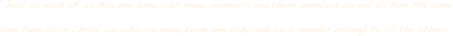 “Just as each of us has one body with many members, and these members do not all have the same function, so in Christ we who are many form one body, and each member belongs to all the others. 